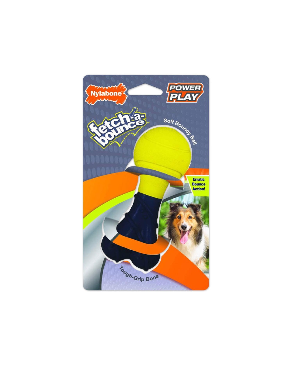 Nylabone Power Play Fetch-A-Bounce dog toy