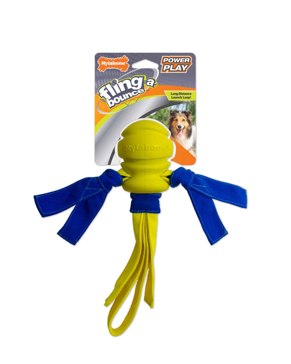 Nylabone Power Play Fling-A-Bounce dog toy