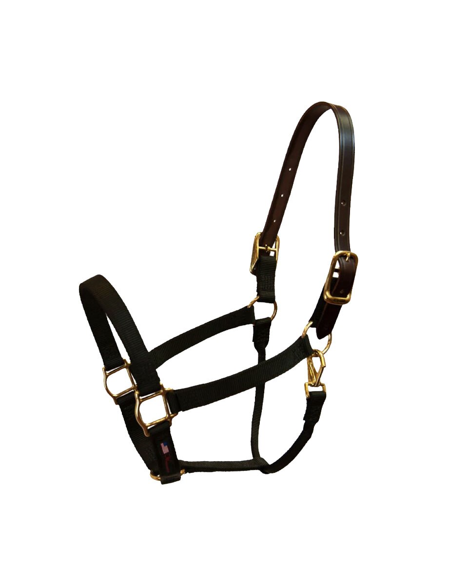 Walsh Nylon Breakway Halter