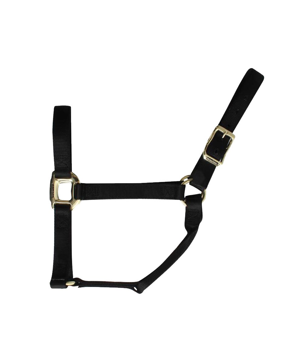 Professional's Choice Nylon Halter