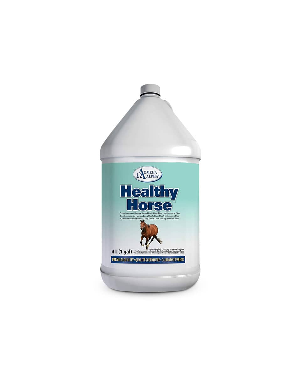 Omega Alpha Healthy Horse Supplement