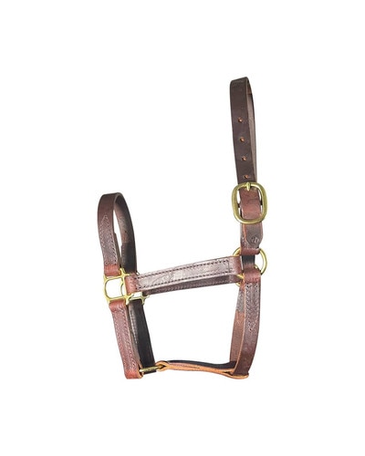 Horse Cents Leather Turnout Halter with English Chin and One Buckle