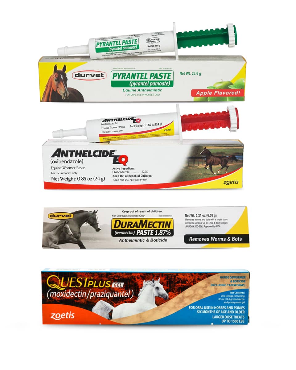 One Year Rotation Wormer Pack for horses