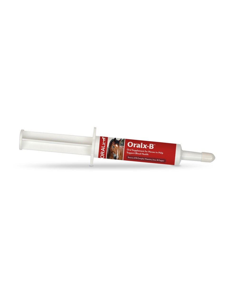 Oralx B Vitamins for Horses