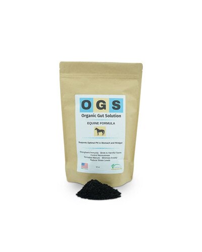 Organic Gut Solution Equine Formula - digestive supplement