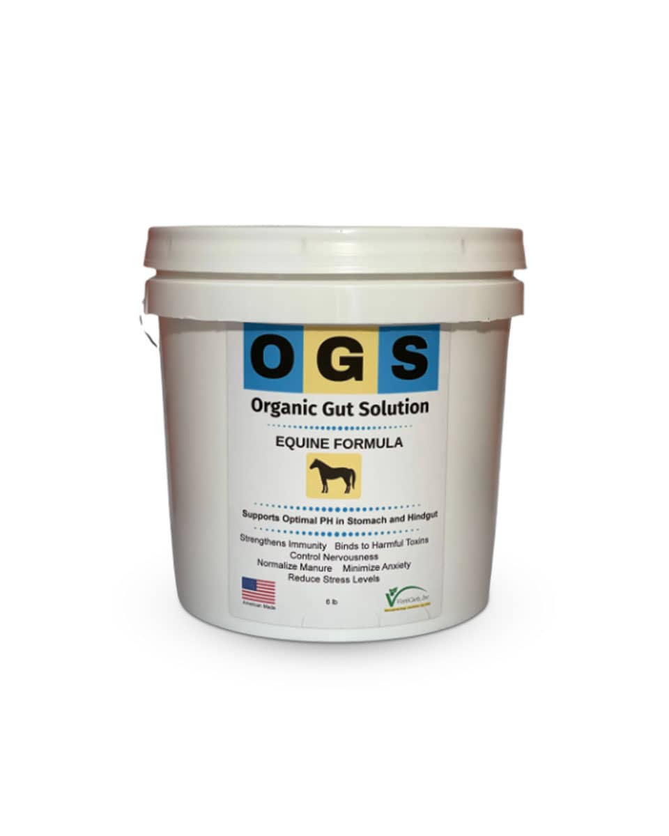 Organic Gut Solution Equine Formula Organic Gut Solution FarmVet