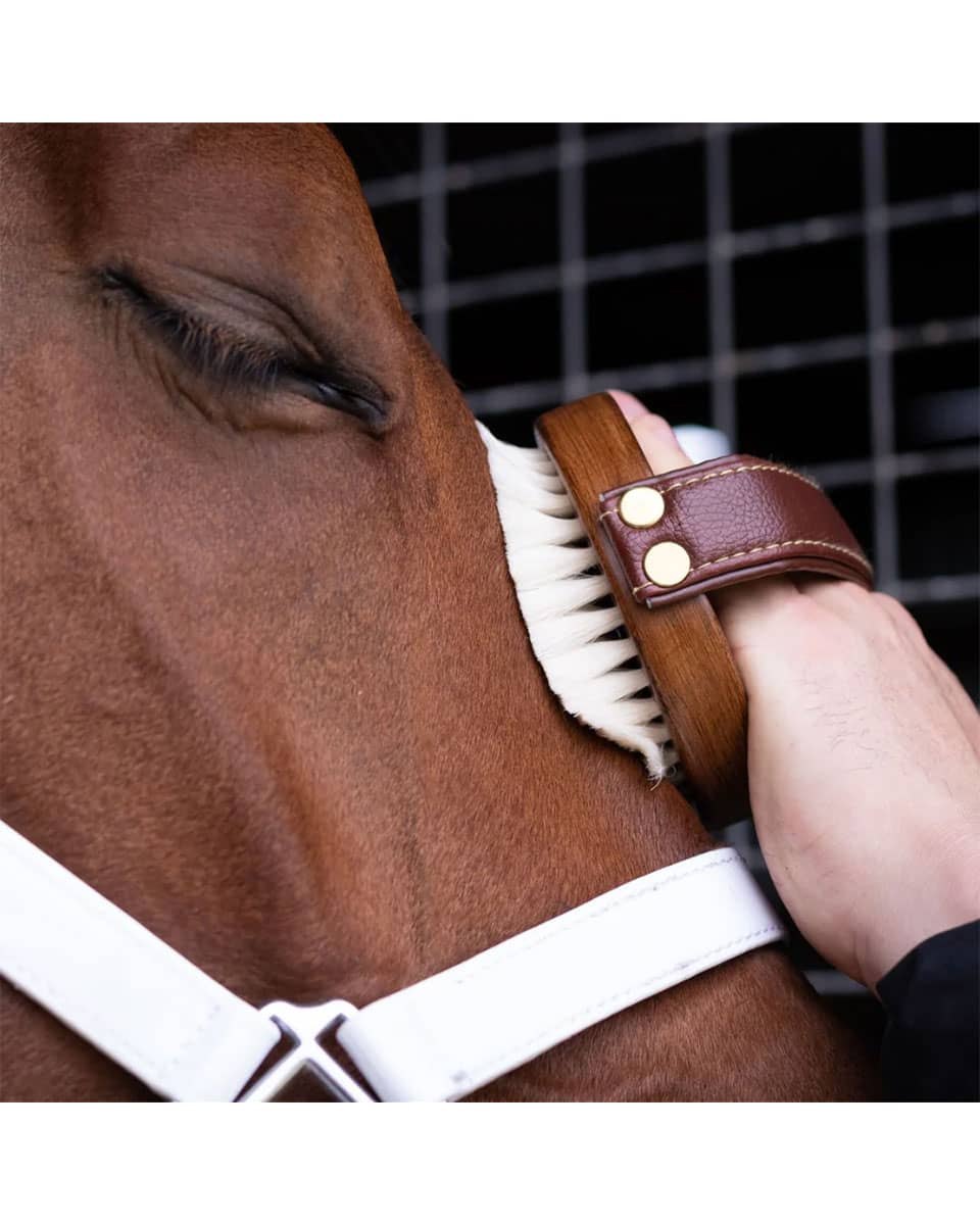 Hairy Pony Original Brush Kit - Face Brush