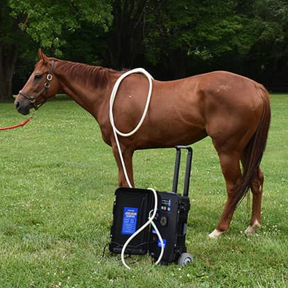 PEMF Therapy for horses at FarmVet.