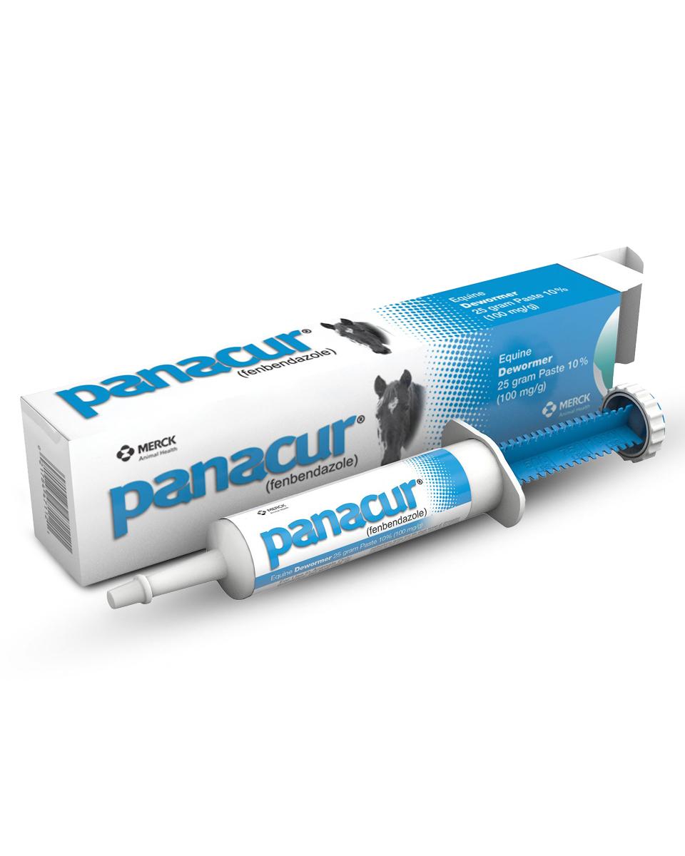 Panacur Paste equine dewormer