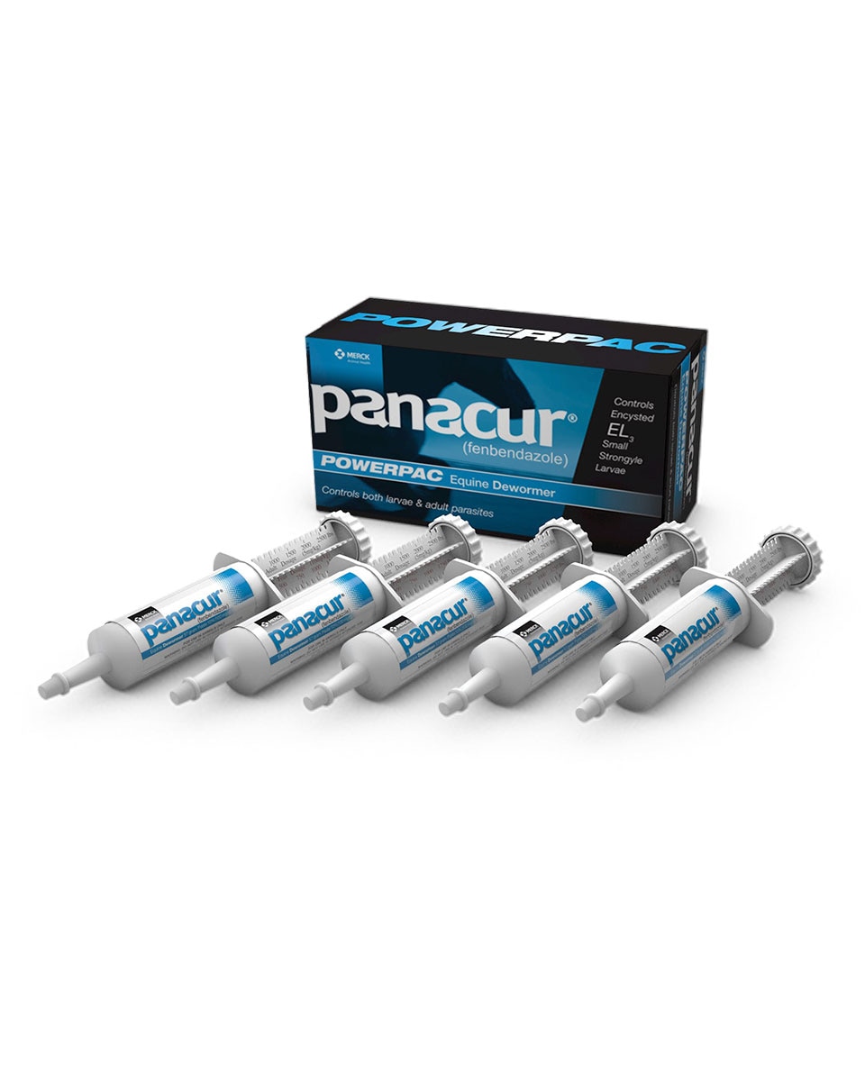 Panacur Power Pac for horses