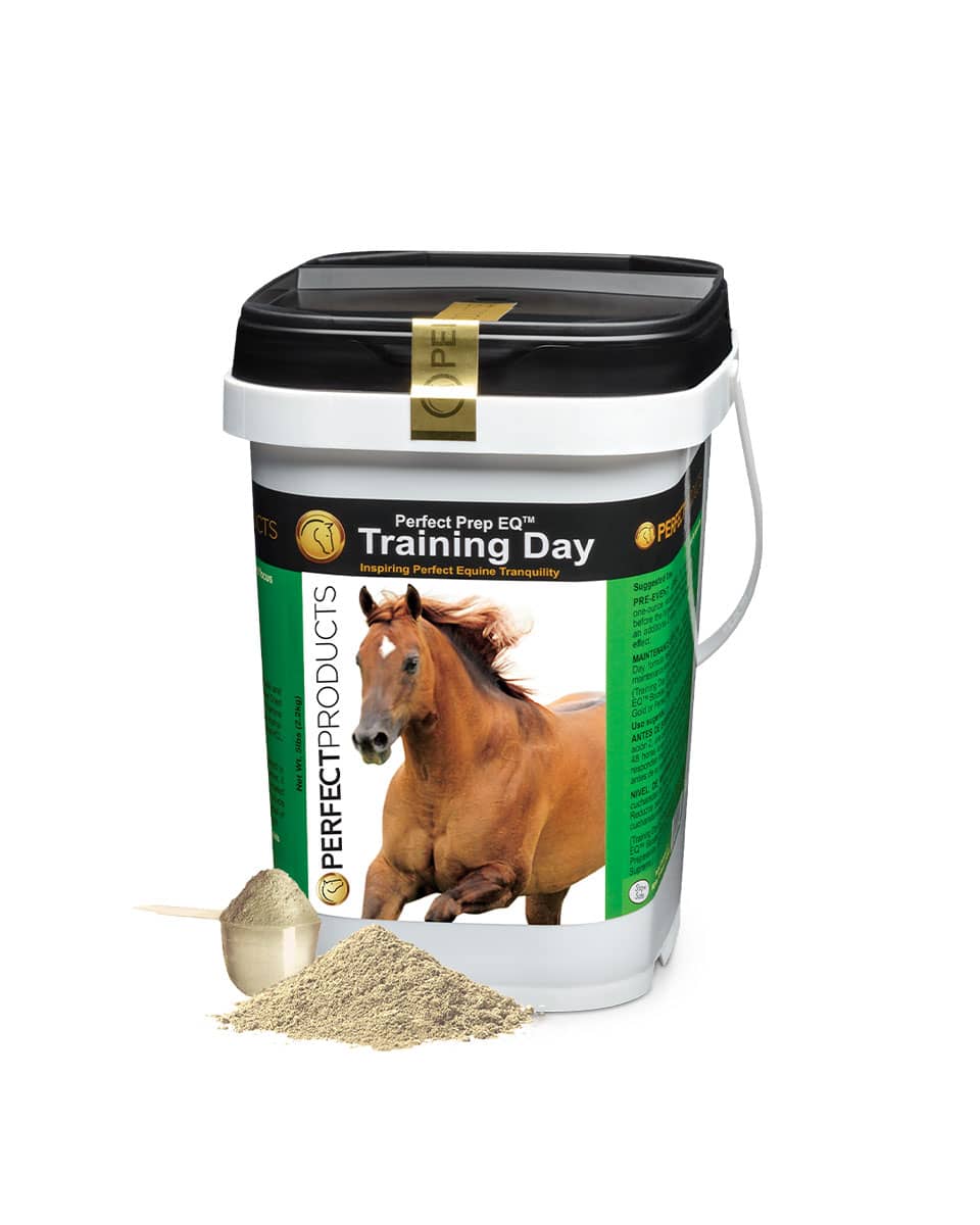 Perfect Prep EQ Training Day daily calming supplement for horses