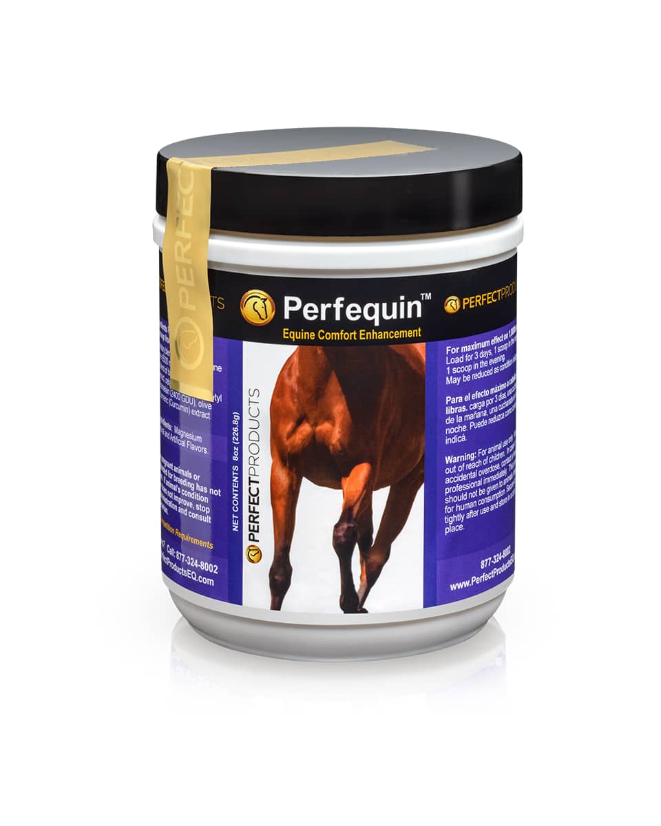 Perfequin by Perfect Products