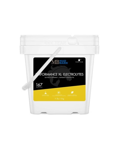 Performance XL: Electrolytes supplement for horses from Mad Barn