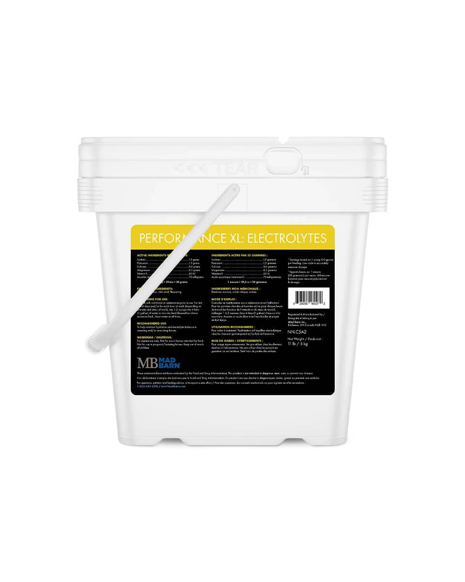 Mad Barn Performance XL: Electrolytes supplement for horses - 11lbs