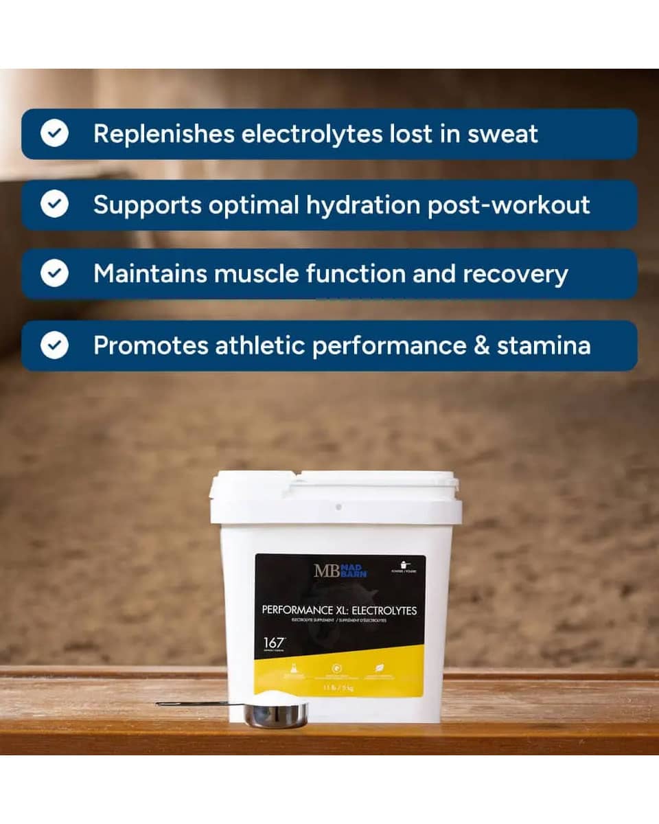 Mad Barn Performance XL: Electrolytes supplement for horses