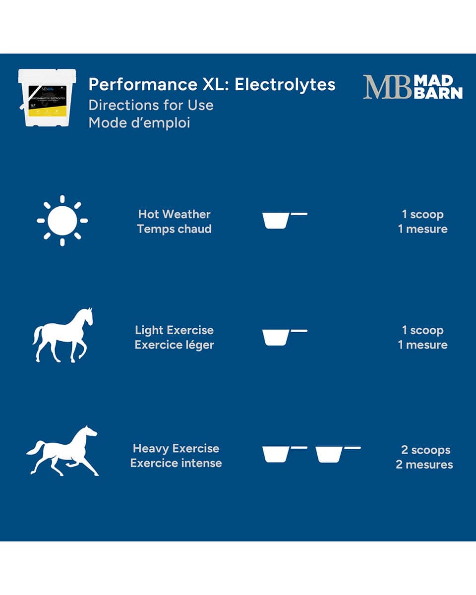 Mad Barn Performance XL: Electrolyte supplement for horses - directions for use