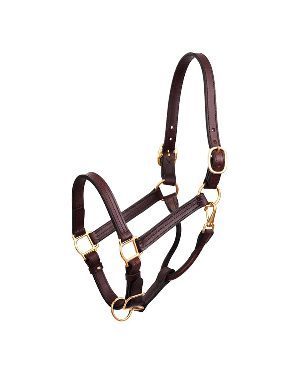 Perri's Leather Show Halter