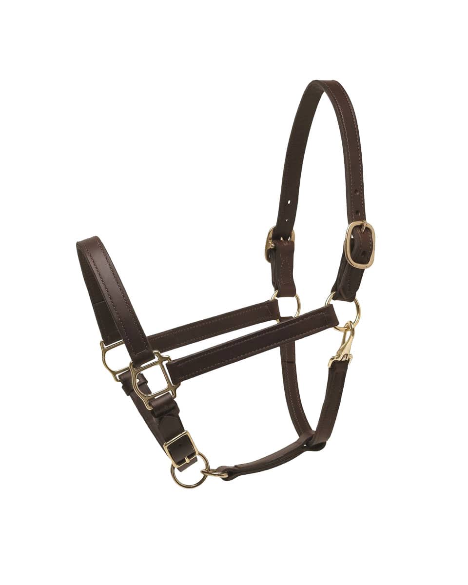 Perri's Leather Turnout Halter
