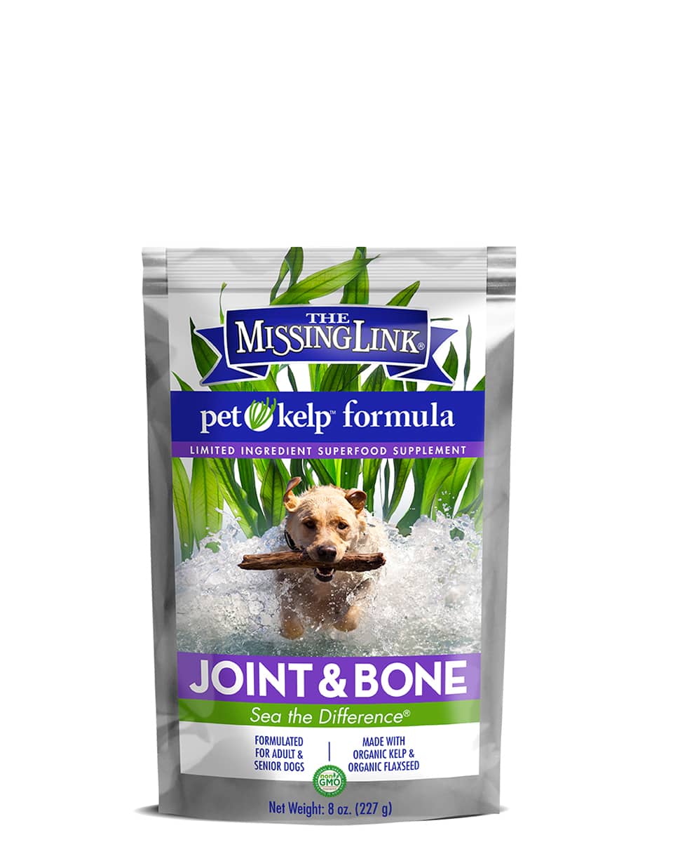 Pet Kelp Joint & Bone supplement by Missing Link