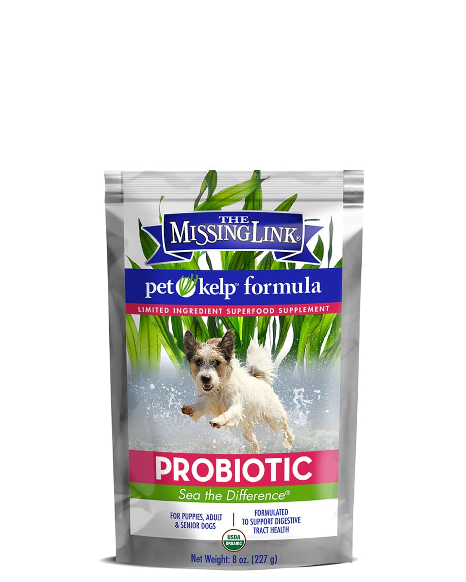 Pet Kelp Probiotic Formula for Dogs The Missing Link FarmVet