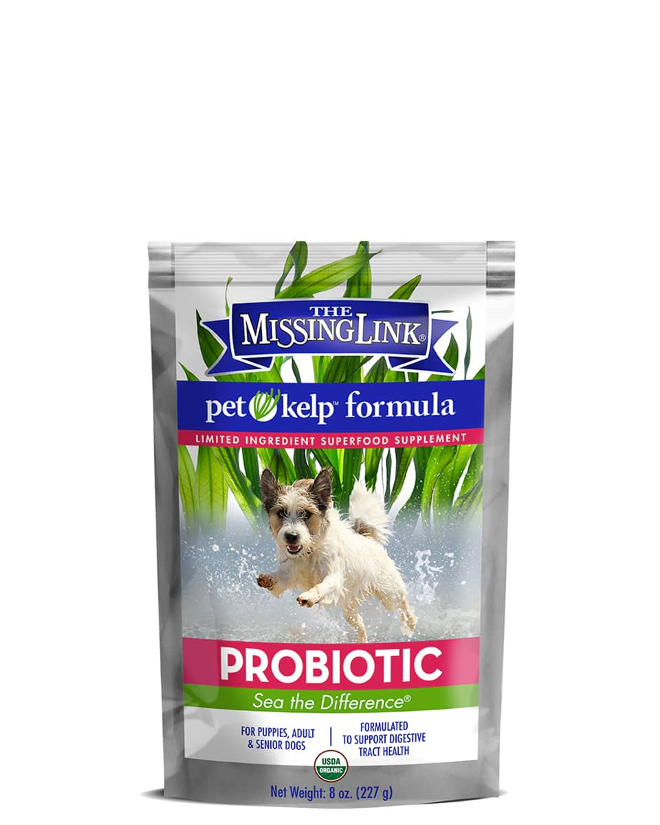 Pet Kelp Probiotic by Missing Link