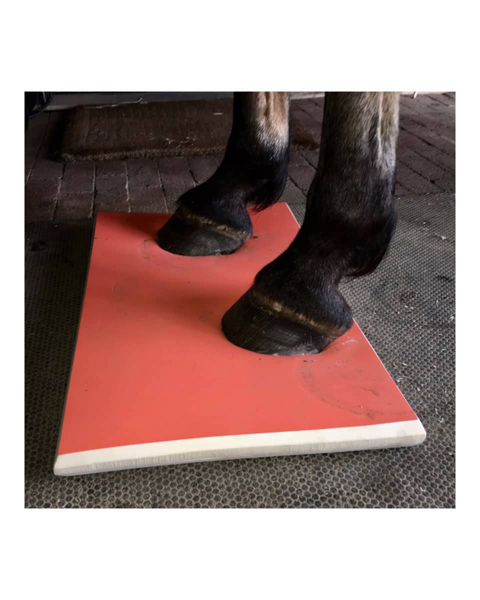 Sure Foot Equine Physiopad - full pad in use