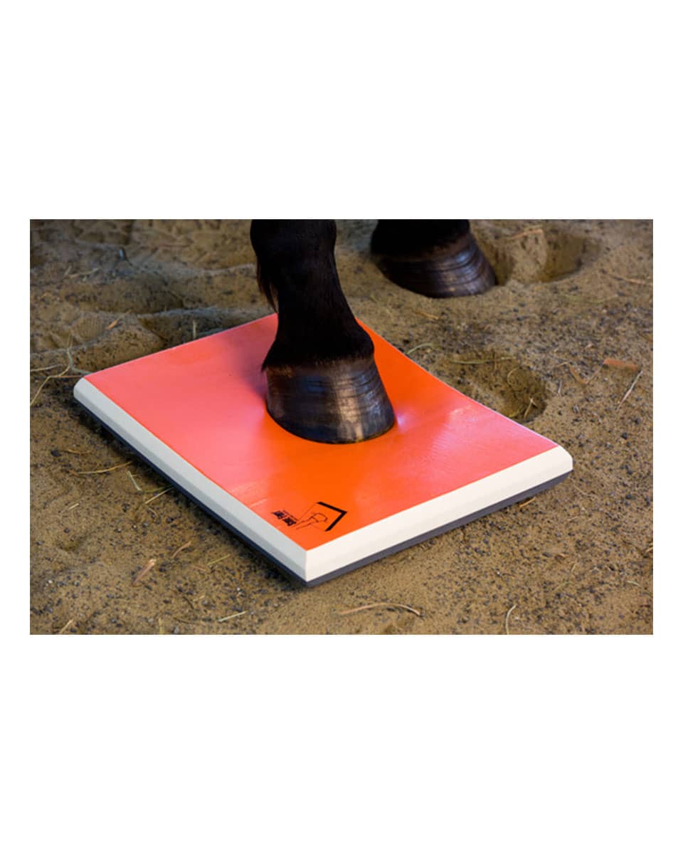 Sure Foot Equine Physiopad - Half pad in use