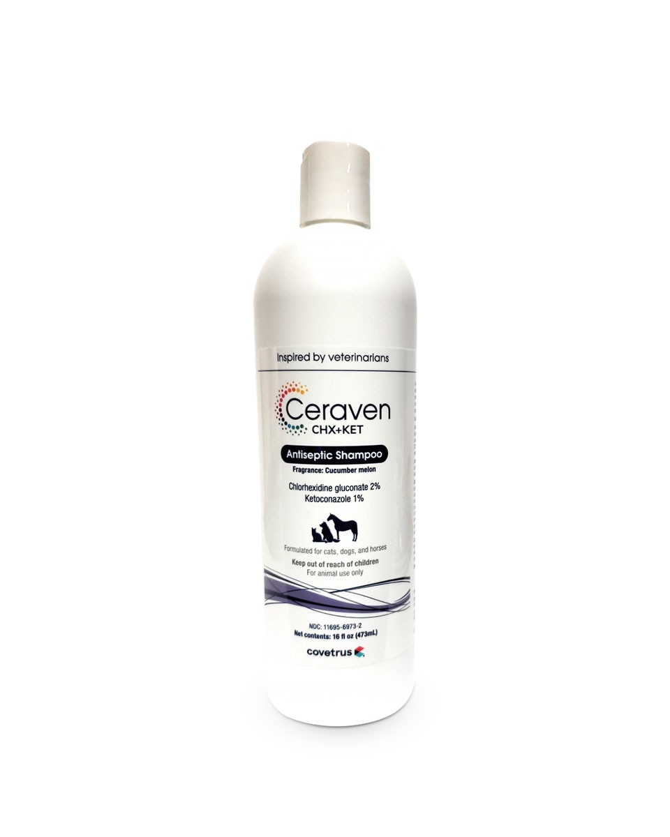 Ceraven CHX + KET Antiseptic Shampoo from Covetrus