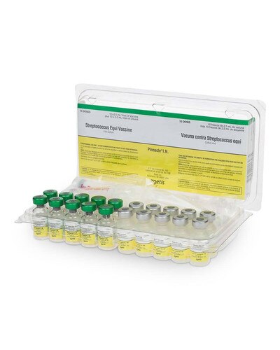 Pinnacle I.N. strangles vaccine for young horses from Zoetis (10 pack)