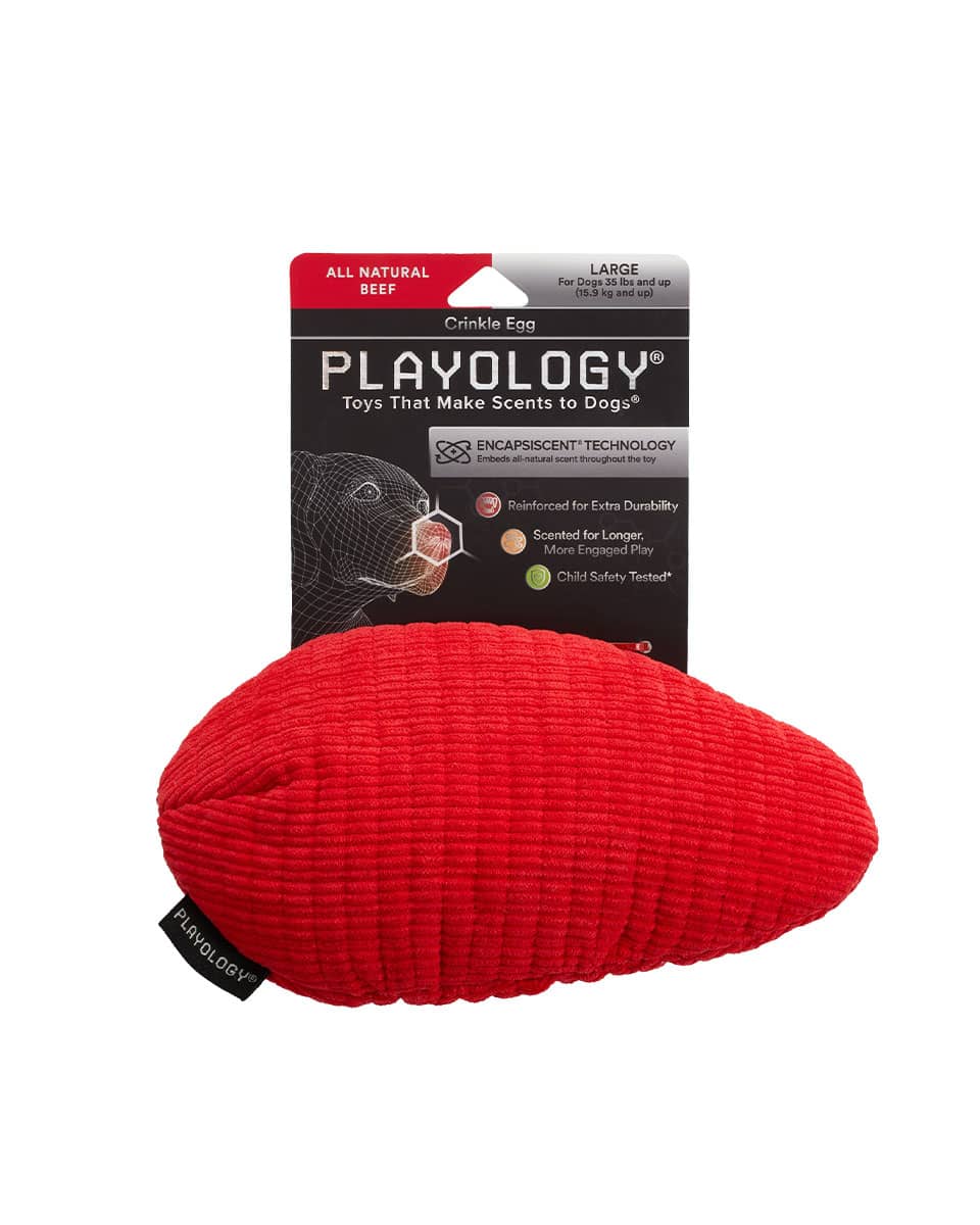 Playology Plush Crinkle Egg dog toy