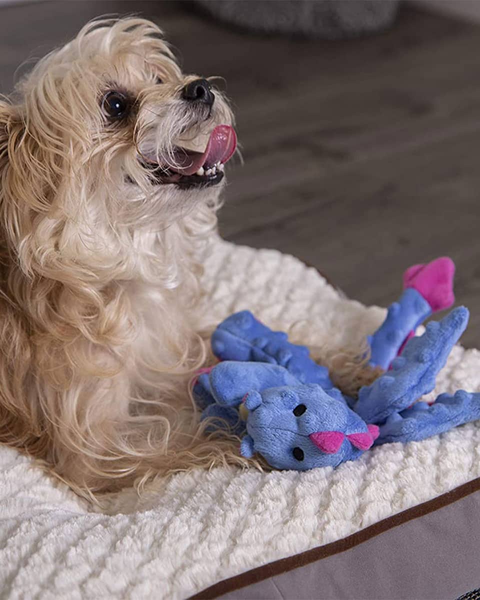 Plush Dragon Dog Toy by Quaker Pet Group