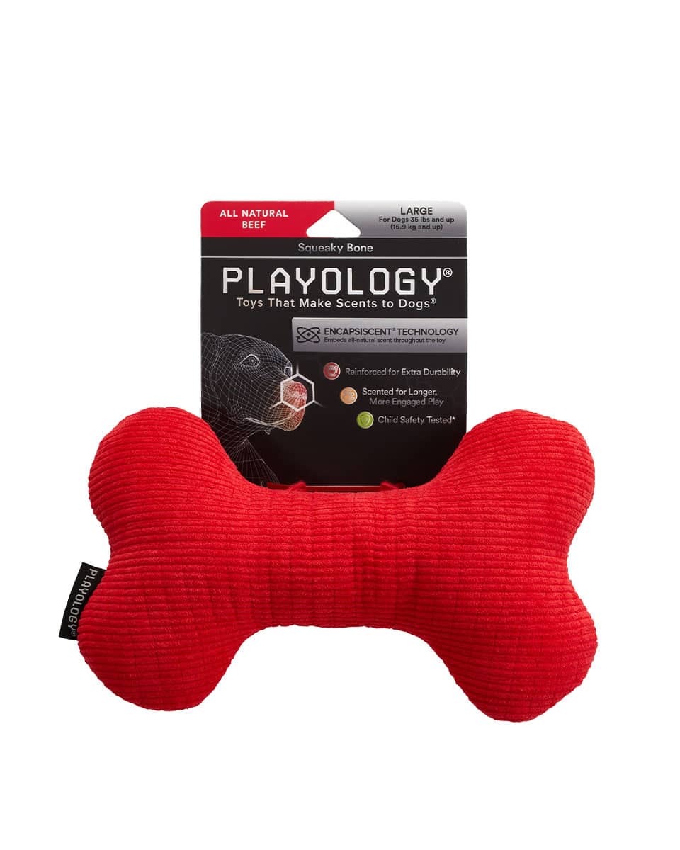 Playology Plush Squeaky Bone dog toy