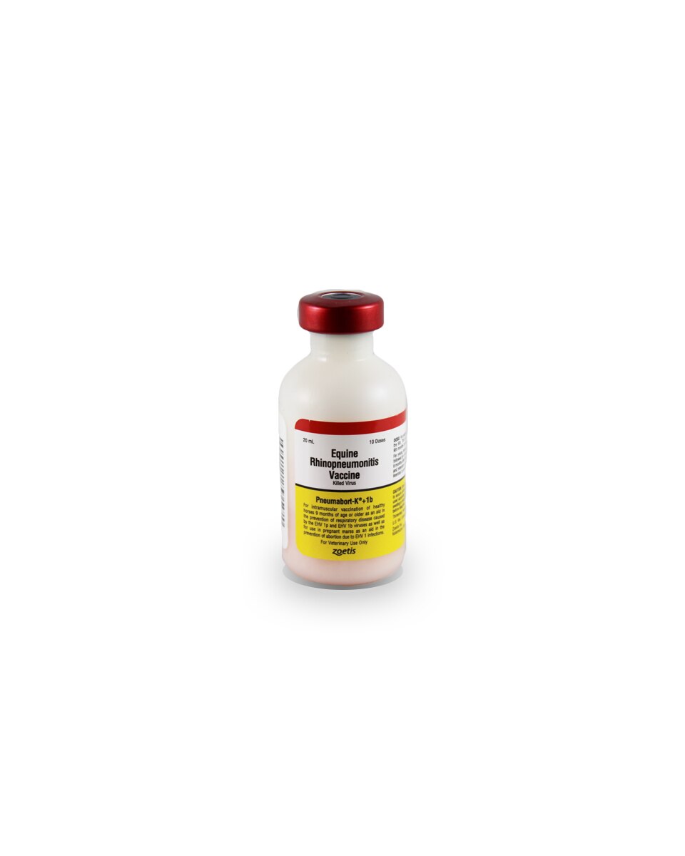 Pneumabort K 1b Zoetis Farmvet