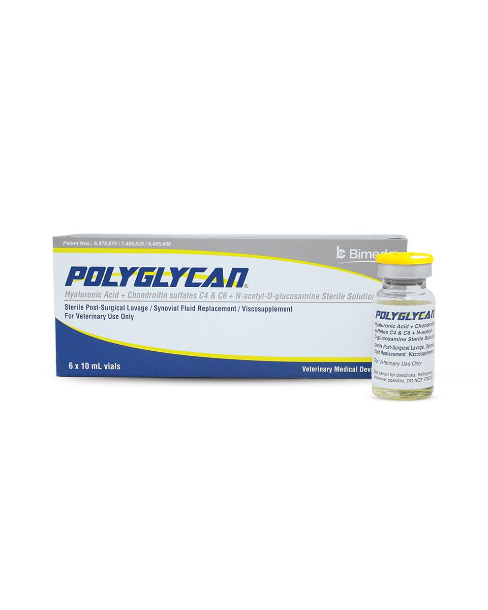 polyglycan for horses