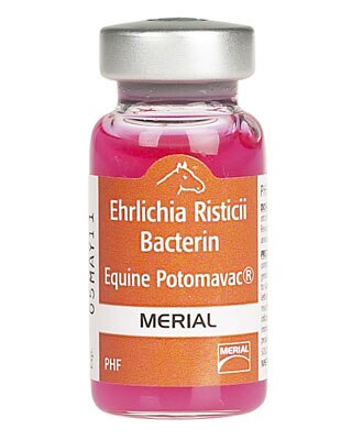 Potomavac for Horses