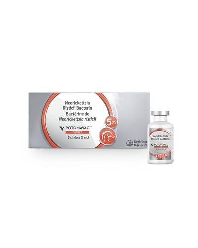 Potomavac vaccine for horses from Boehringer Ingelheim