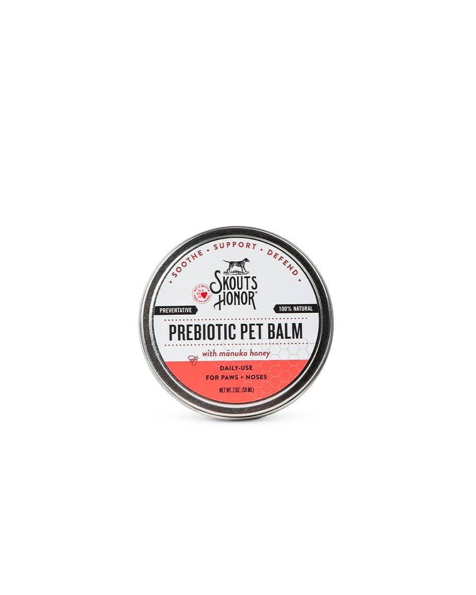 Skout's Honor Prebiotic Pet Balm with manuka honey
