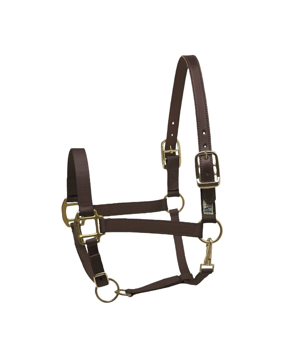 Perri's Premium Nylon Safety Halter