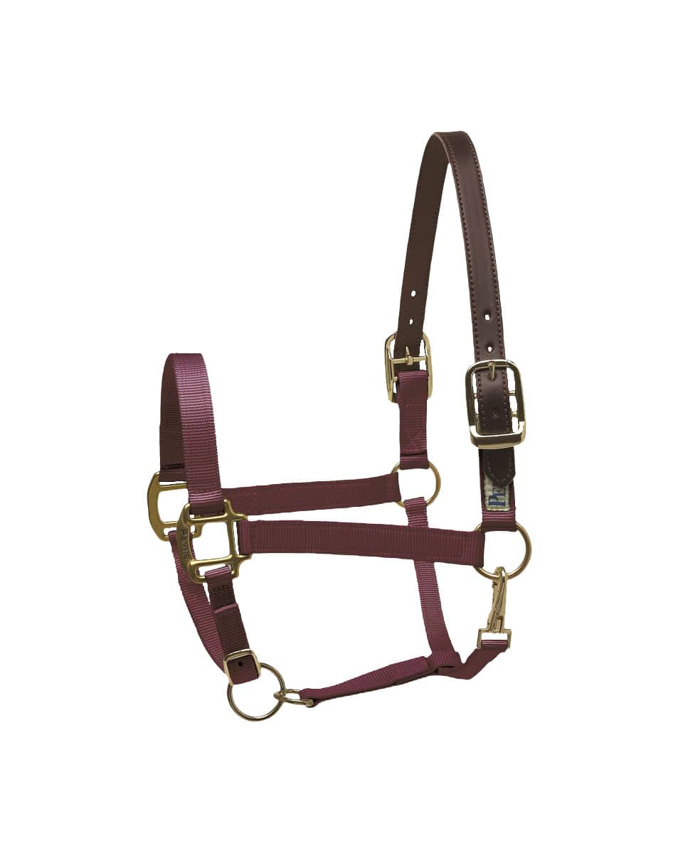 Perri's Premium Nylon Safety Halter