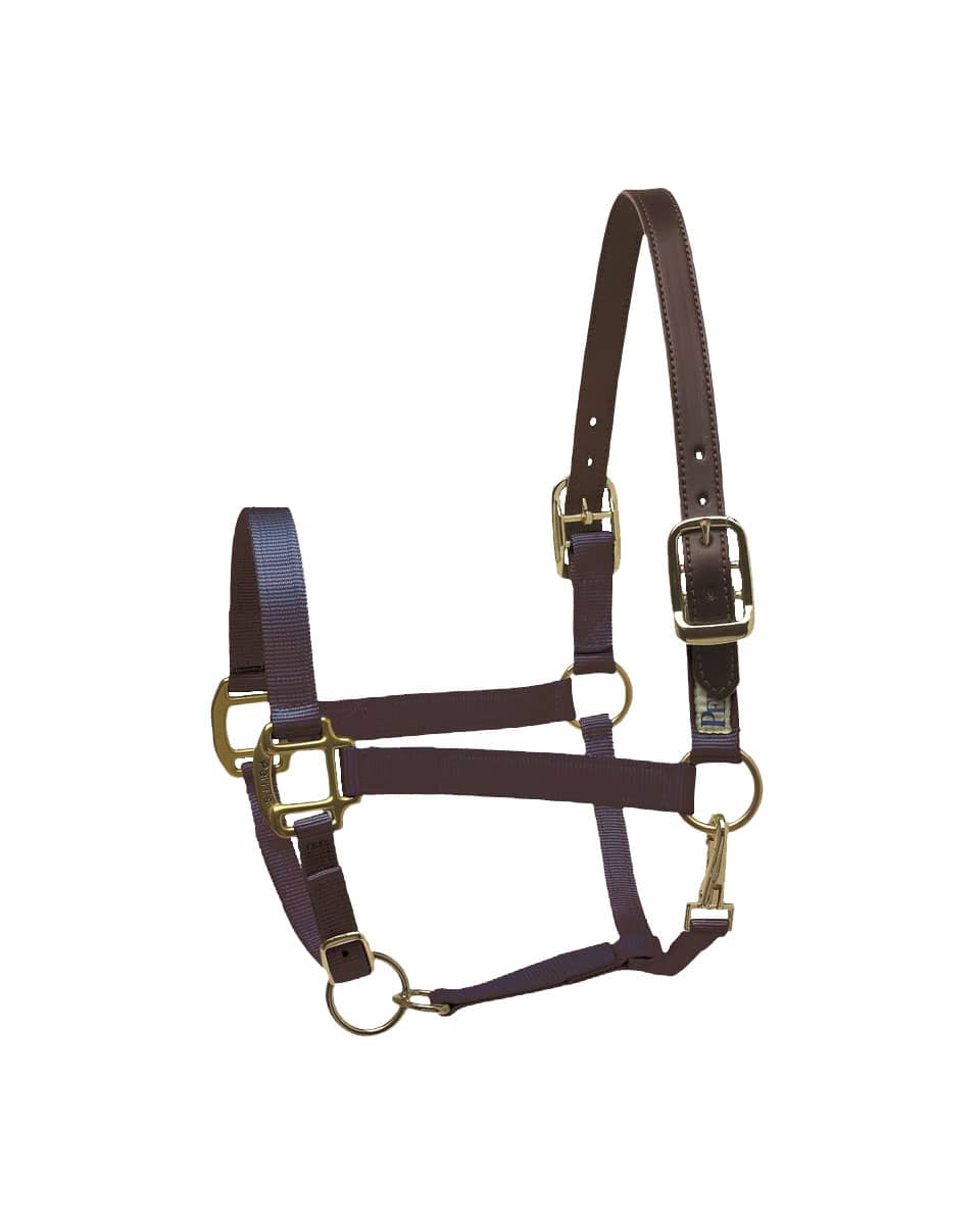 Perri's Premium Nylon Safety Halter