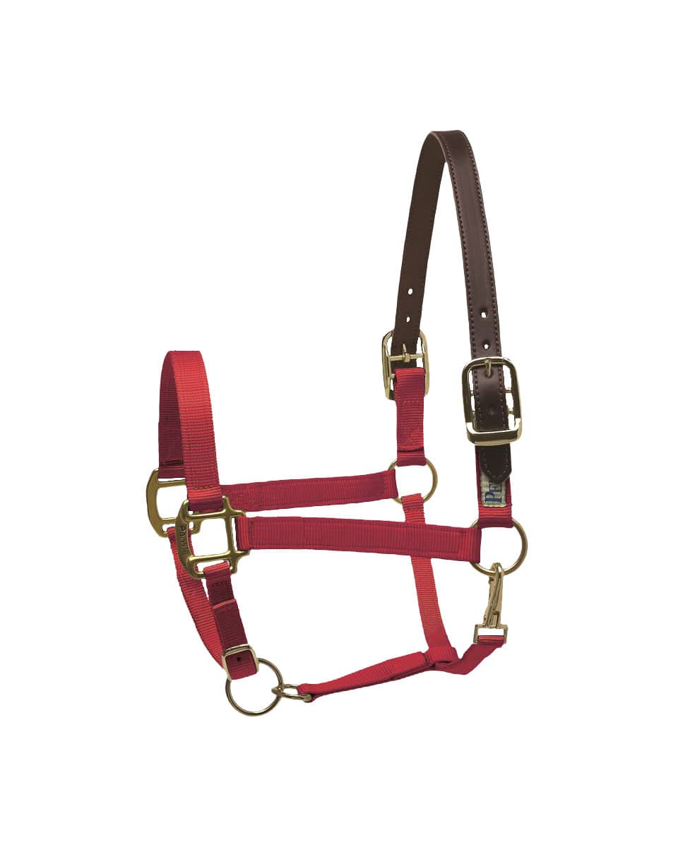 Perri's Premium Nylon Safety Halter