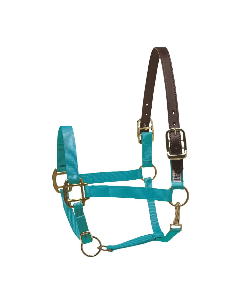 Perri's Premium Nylon Safety Halter