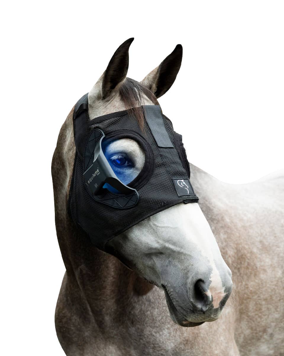 Pro Light Mask for horses
