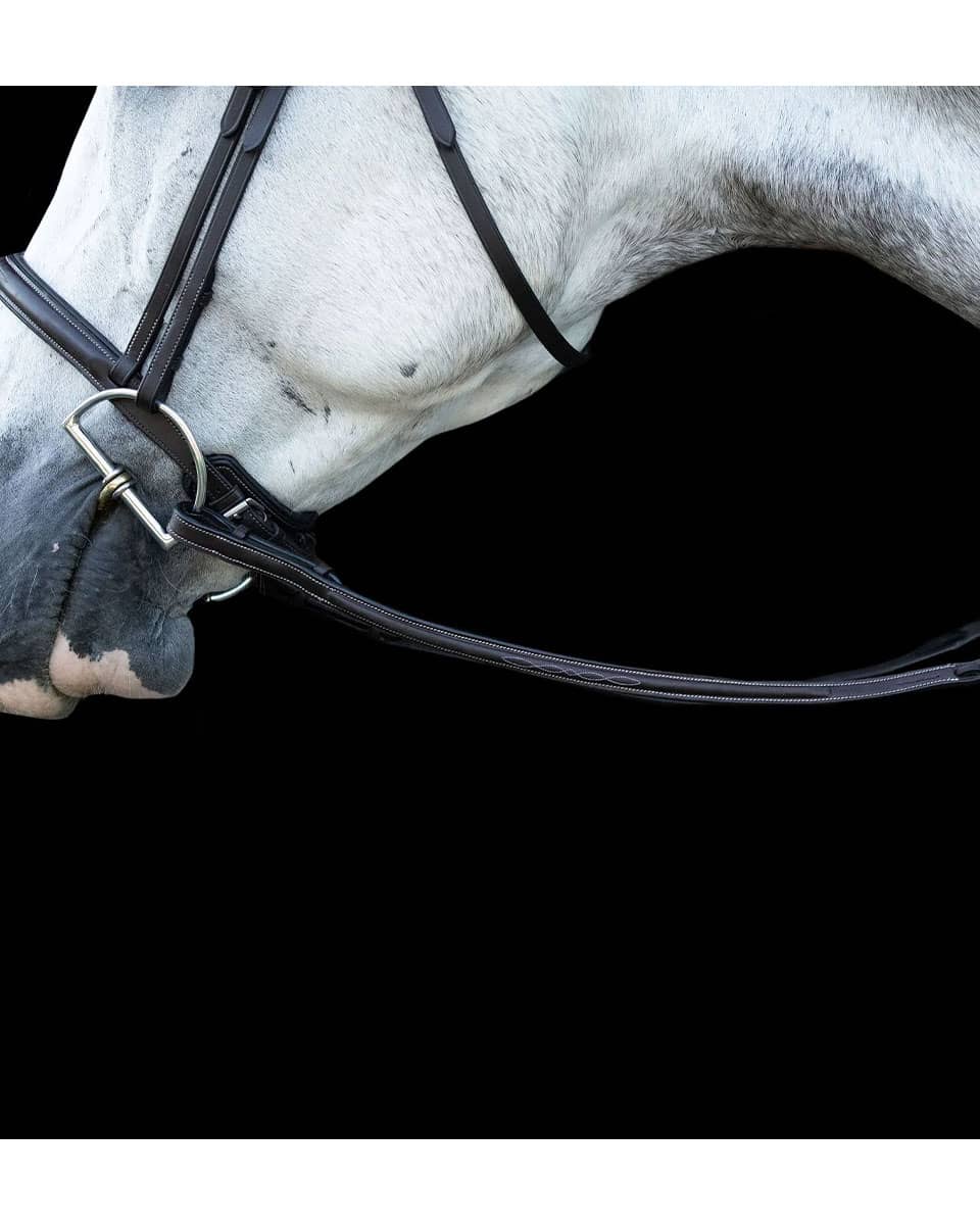 EHI Pro Series Raised Fancy Stitch Perfect Reins Brown