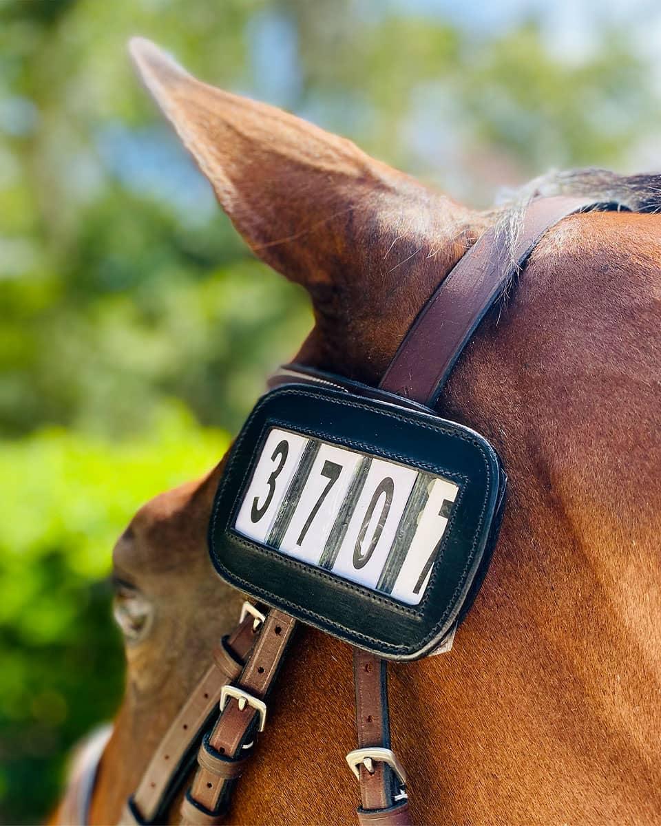 Pro4mance # I.D. Show Numbers from Ace Equestrian