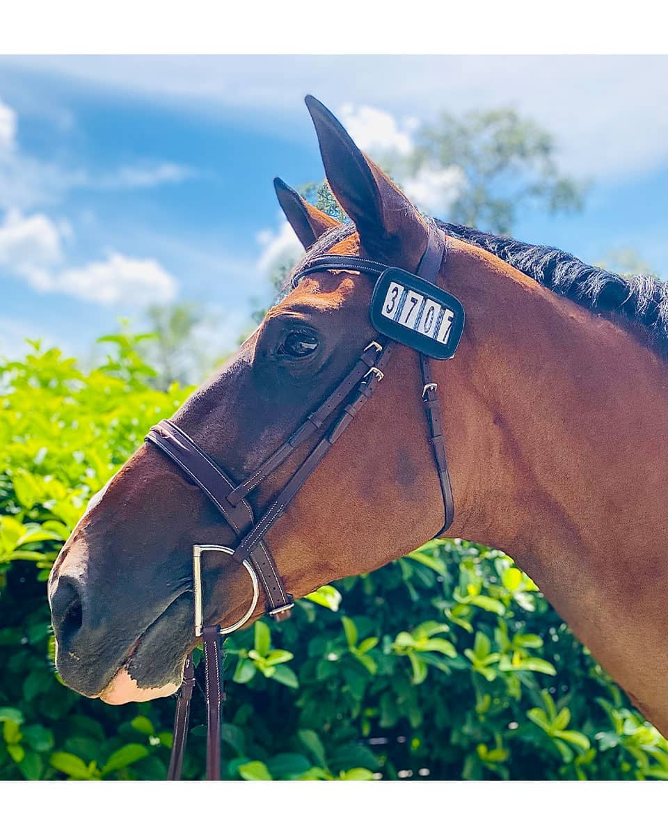 Pro4mance # I.D. Show Numbers from Ace Equestrian