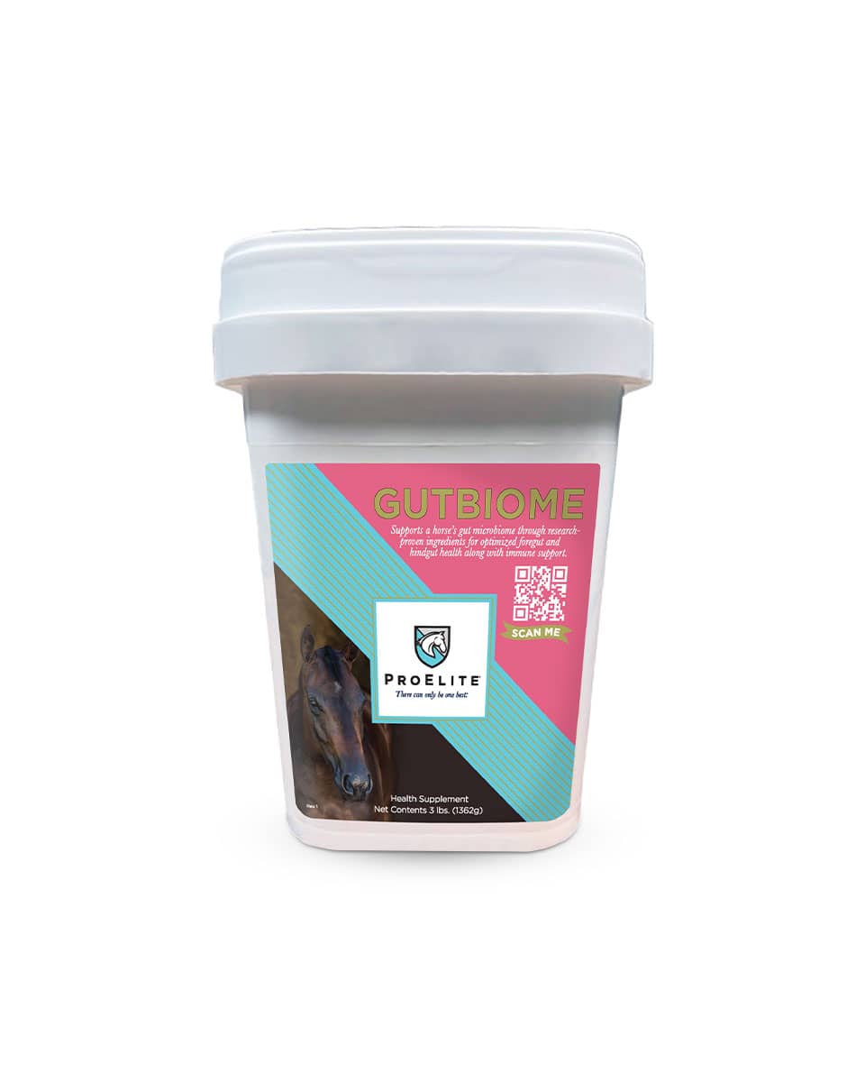 ProElite Gutbiome gastrointestinal supplement for horses