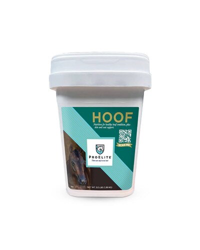 ProElite Hoof supplement for horses