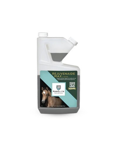 ProElite Rejuvenaide Max Liquid supplement for foals and young horses