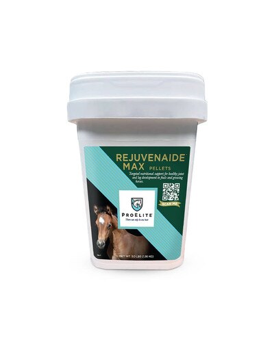 ProElite Rejuvenaide Max Pellet supplement for foals and young horses